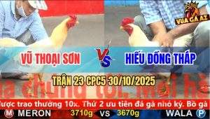 Trận 23 CPC5 30/10/2025 - Anh Vũ Thoại Sơn Và Anh Hiếu Đồng Tháp