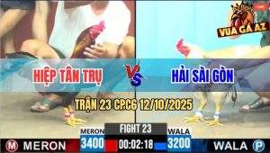 Trận 23 CPC6 12/10/2025 - Mẻ Bướm Anh Hải Sài Gòn Tải Cựa Quá Tốt