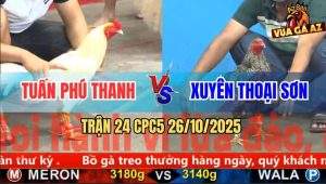 Trận 24 CPC5 26/10/2025 - Anh Tuấn Phú Thanh Và Anh Xuyên Thoại Sơn