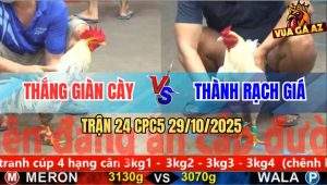 Trận 24 CPC5 29/10/2025 - Anh Thắng Giàn Cày Và Anh Thành Rạch Giá