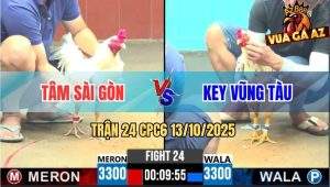 Trận 24 CPC6 13/10/2025 - Gà Bướm Anh Key Vũng Tàu Có Chân Xạo Lờ