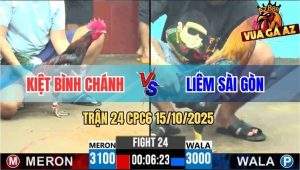 Trận 24 CPC6 15/10/2025 - Vừa Buông Tay Xanh Mồng Lá Đã Hạ Điều Vàng