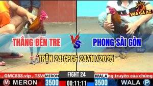 Trận 24 CPC6 24/10/2025 - Điều Lá Chế Được Mấy Chân Vô Trong Lại Hư