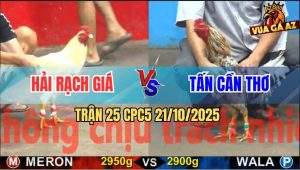 Trận 25 CPC5 21/10/2025 - Anh Hải Rạch Giá Và Anh Tấn Cần Thơ