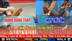 Trận 26 CPC5 24/10/2025 - Anh Mạnh Đồng Tháp Và Anh Huy Trí Tôn