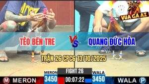 Trận 26 CPC6 13/10/2025 - Điều Chân Xanh Đâm Gà Xám Không Kịp Thở