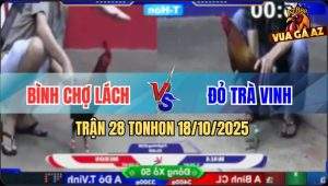 Trận 28 TonHon 18/10/2025 - Bảo Sting Thả giùm, Điều Cúp Bị Đá Bay Bồ