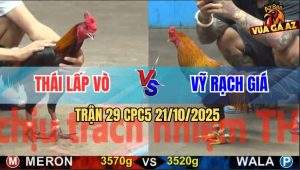Trận 29 CPC5 21/10/2025 - Anh Thái Lấp Vò Và Anh Vỹ Rạch Giá
