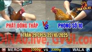 Trận 29 CPC5 22/10/2025 - Anh Phát Đồng Tháp Và Anh Phong Số 10