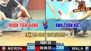 Trận 29 CPC6 12/10/2025 - Bướm Anh Tuấn Kiệt Gồng Cứu Chủ Trăm Triệu