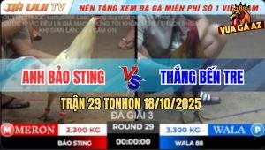 Trận 29 TonHon 18/10/2025 - Anh Bảo Sting Gặp Anh Thắng Bến Tre