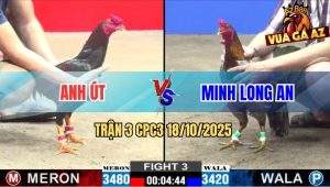 Trận 3 CPC3 18/10/2025 - Điều Siết Xám Chân Xanh Má Minh Chạy Mất Dép