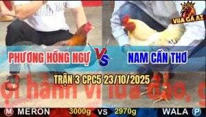 Trận 3 CPC5 23/10/2025 - Gà Điều Anh Phương Đá Xe Đạp Chổng Ngược