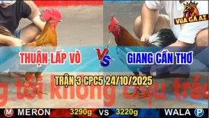 Trận 3 CPC5 24/10/2025 - Anh Thuận Lấp Vò Và Anh Giang Cần Thơ