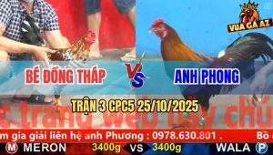 Trận 3 CPC5 25/10/2025 - Anh Bé Đồng Tháp Và Anh Phong