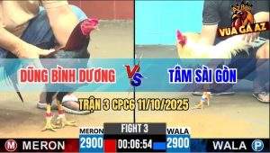 Trận 3 CPC6 11/10/2025 - Anh Dũng Và Anh Tâm Không Phân Thắng Bại