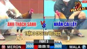 Trận 3 CPC6 13/10/2025 - Cú Kêu Điều Tử Chỉ Sau 1 Tay Nước