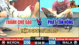 Trận 3 CPC6 31/10/2025 - Điều Khôn Tránh Né Chặn Chân Bướm Mất Cái Giò