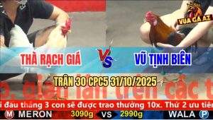 Trận 30 CPC5 31/10/2025 - Anh Thà Rạch Giá Và Anh Vũ Tịnh Biên