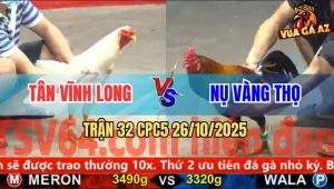 Trận 32 CPC5 26/10/2025 - Anh Tân Vĩnh Long Và Anh Nụ Vàng Thọ