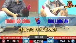 Trận 33 CPC6 26/10/2025 - Úa Giạt Giạt Tán Cây Lưng Bưng Điều Ra Sân