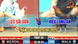 Trận 34 CPC6 29/10/2025 - Bướm Chặn Mấy Cước Que Bể Bọng Chạy La Miệng