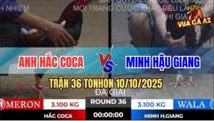Trận 36 TonHon 10/10/2025 - Anh Hắc Coca Gặp Anh Minh Hậu Giang
