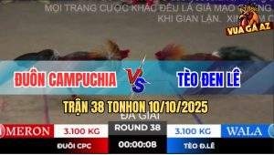 Trận 38 TonHon 10/10/2025 - Chúc Mừng Tèo Đen Lê Được 9 Điểm Đầu Tiên