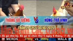 Trận 39 CPC5 30/10/2025 - Anh Thắng Gò Giềng Và Anh Hùng Trà Vinh