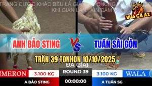 Trận 39 TonHon 10/10/2025 - Anh Bảo Sting Một Tay Chạm Cúp Với 9 Điểm