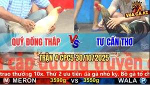 Trận 4 CPC5 30/10/2025 - Anh Quý Đồng Tháp Và Anh Tư Cần Thơ