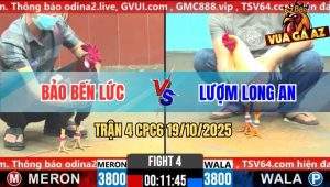 Trận 4 CPC6 19/10/2025 - Gà Bướm Anh Lượm Có Chân Phản Lội Ngược Dòng