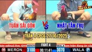 Trận 4 CPC6 27/10/2025 - Que Đá Chân Dưới, Điều Chặn Mấy Chân Rớt Lúa