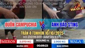 Trận 4 TonHon 10/10/2025 - Xam Chân Xanh Anh Bảo Sting 1 Đá Có Kết Quả