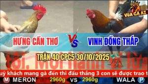 Trận 40 CPC5 30/10/2025 - Anh Hưng Cần Thơ Và Anh Vĩnh Đồng Tháp