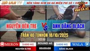 Trận 40 TonHon 18/10/2025 - Anh Nguyên Bến Tre Và Anh Đăng Black