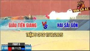 Trận 5 CPC6 11/10/2025 - Gà Que Anh Giàu Bóp Cặp Ngực Úa Lọt Chết Tươi
