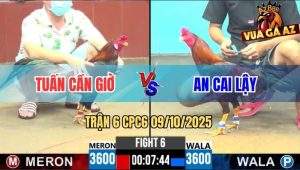 Trận 6 CPC6 9/10/2025 - Gà Anh An Siết Một Hơi Đỏ Tai Biến Bung Chạy