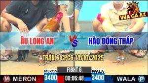 Trận 6 CPC6 14/10/2025 - Xám Chân Xanh Anh Âu Long An Đâm Cựa Quá Tịch