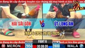 Trận 6 CPC6 19/10/2025 - Điều Đỏ Bú Cây Lưng Điều Xanh Bỏ Mạng Tại Chỗ