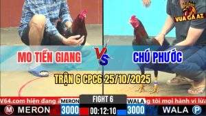 Trận 6 CPC6 25/10/2025 - Điều Vàng Đâm Nghiệt Xanh Vô Lọt Cây Bay Bồ