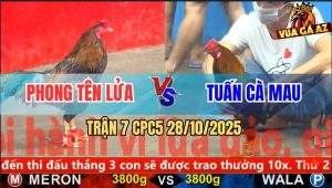 Trận 7 CPC5 28/10/2025 - Anh Phong Tên Lửa Và Anh Tuấn Cà Mau