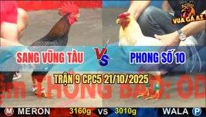 Trận 9 CPC5 21/10/2025 - Anh Sang Vũng Tàu Và Anh Phong Số 10