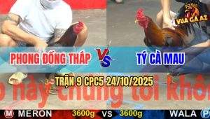 Trận 9 CPC5 24/10/2025 - Anh Phong Cần Thơ Và Anh Tý Cà Mau