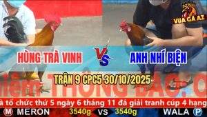 Trận 9 CPC5 30/10/2025 - Anh Hùng Trà Vinh Và Anh Nhí Biện