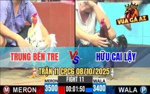 Trận 11 CPC6 8/10/2025