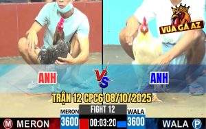 Trận 12 CPC6 8/10/2025
