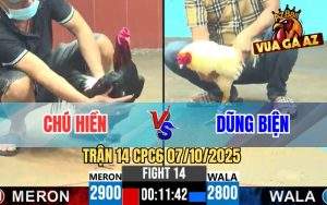 Trận 14 CPC6 7/10/2025