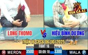 Trận 16 CPC6 6/10/2025