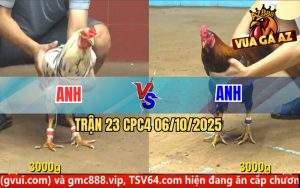 Trận 23 CPC4 6/10/2025